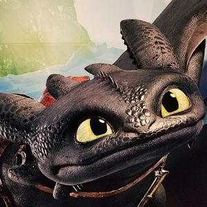 Meet your Posher, Liz